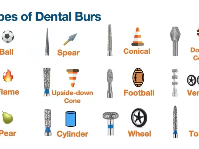 آموزش انواع فرز های دندانپزشکی و کاربرد آنها