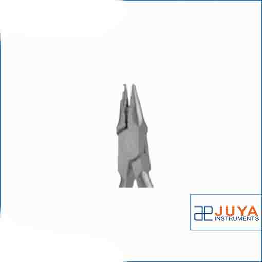 پلایر یانگ جویا