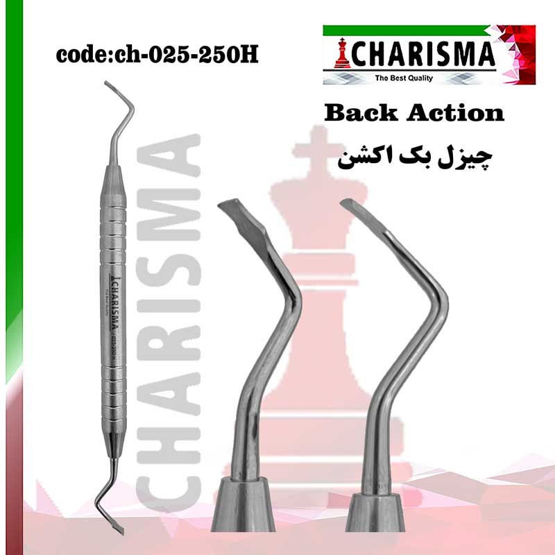 چیزل بک اکشن هالو کاریزما