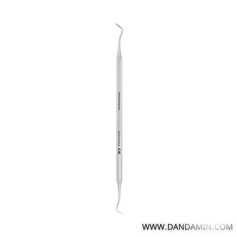 کارور هولن باخ ظریف دناپویا 1585